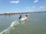 IMG 6553 1
