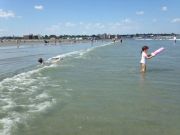IMG 6559