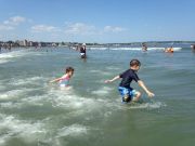 IMG 6580