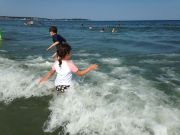 IMG 6601