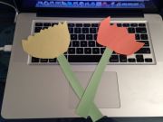 IMG 6795 1