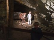 IMG 08901