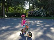 IMG 7498