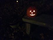 IMG 7778