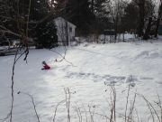 IMG 8333