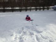 IMG 8334