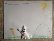 IMG 8699