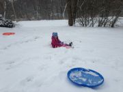 IMG 8797