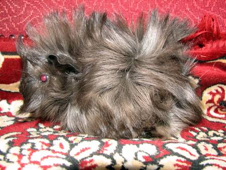 ������� 7