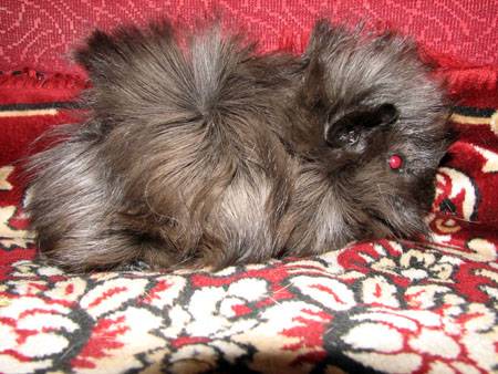 ������� 8