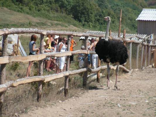 ������-�����