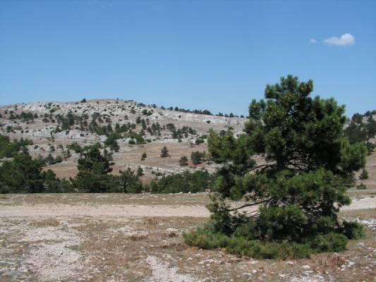 ��-�����