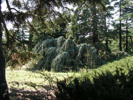 �������� �������