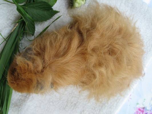 ��������2