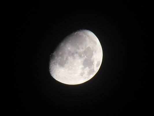 moonlight