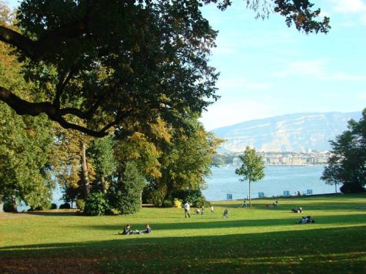 Geneve Parks