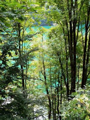 ���� ���� ������� �����!