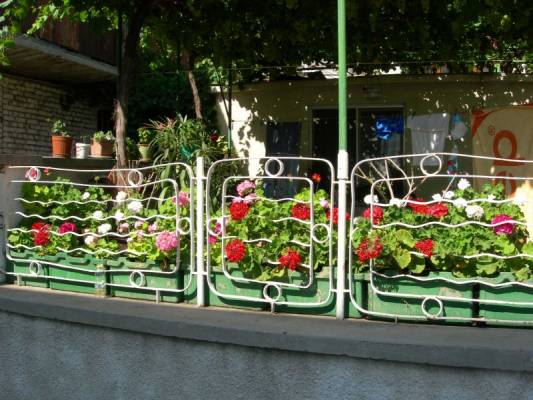 Геранька