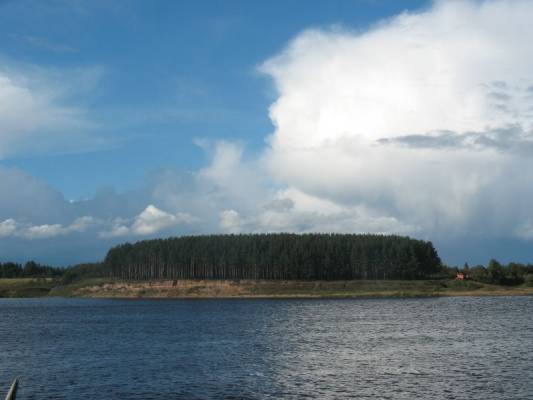 берега