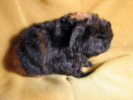 �������_02