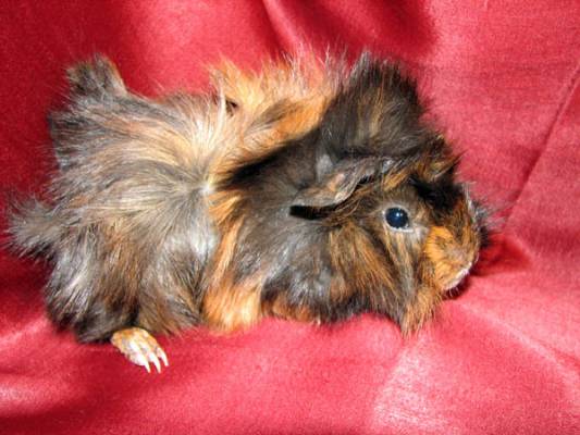 �������_03