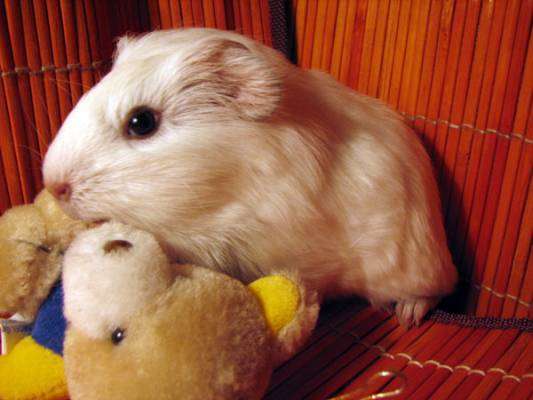 �������_012