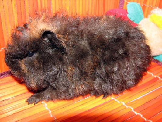 �������_014