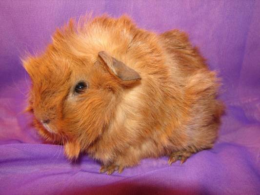 ������_9