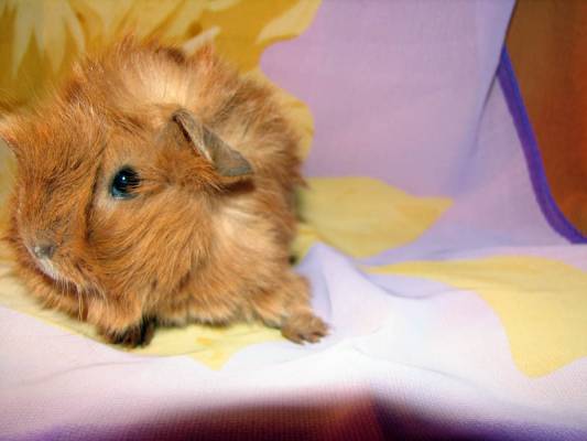 ������_5