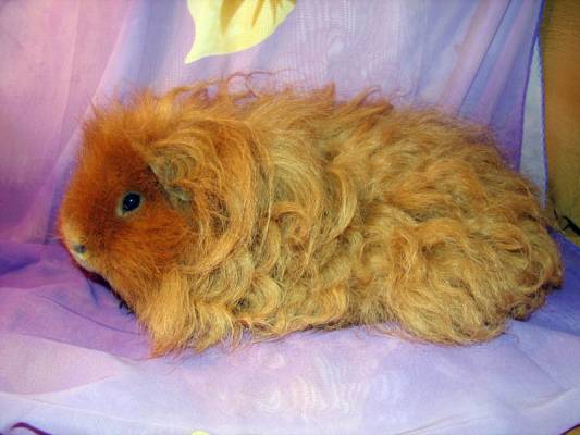 ��������_6