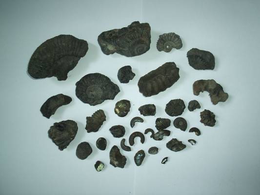 ���������...