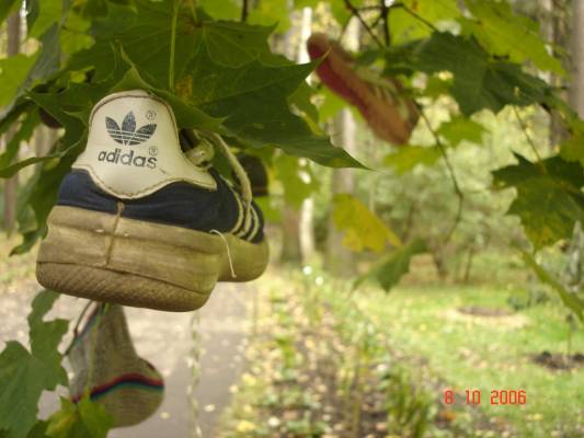 ������ �������.