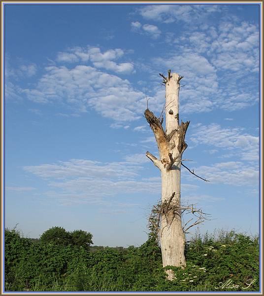 ����� �  ������ ������! 