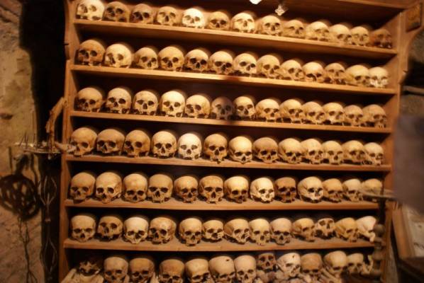 ������ ���� � ������� ���������