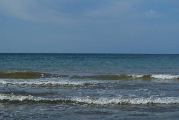 ����� ����