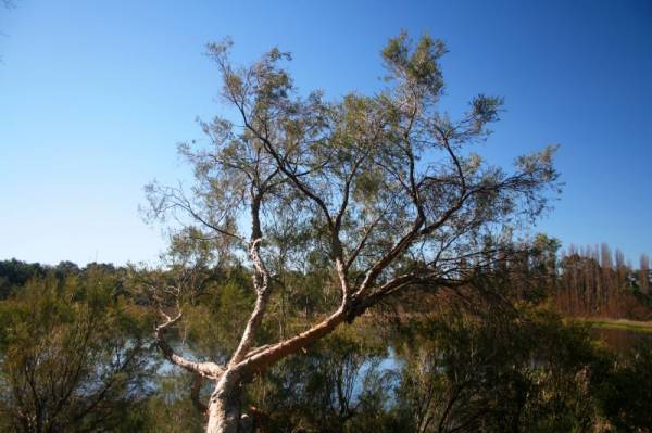 Lake Perry in Perth