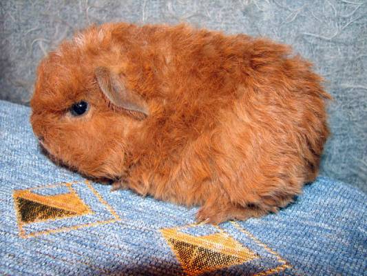 ����-���� 10