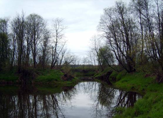 река