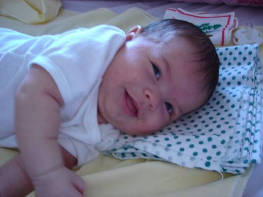 ������ ����