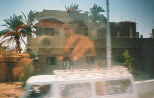 Egypt