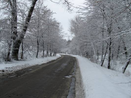 ���� ���������