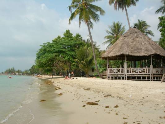 Lonely beach