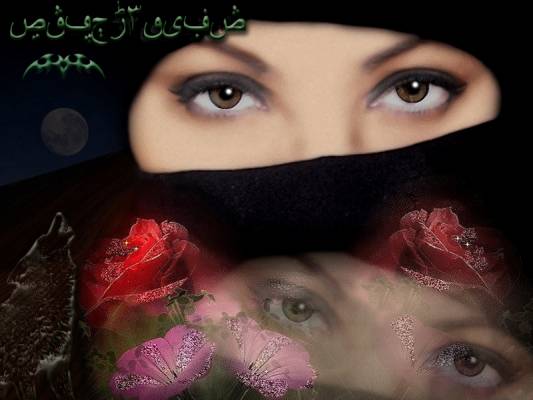 ������ ���