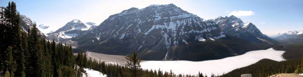 Peyto lake panorama