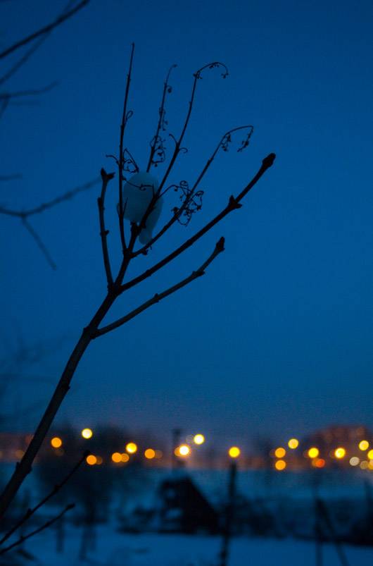 ������� ������