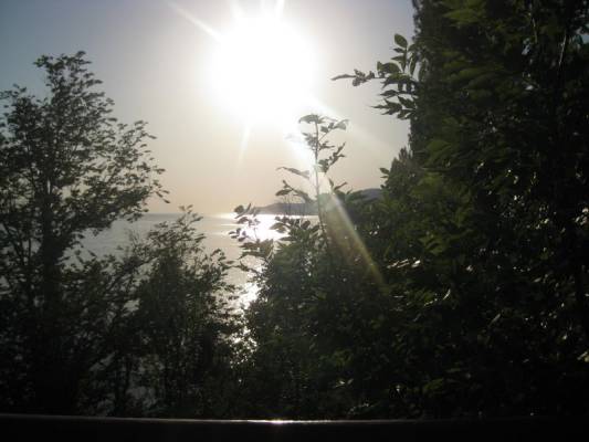 ���� ��������