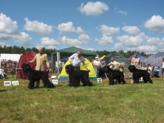 Champion class: Arbat, Dargas, Graf Orlov, Novy Vek