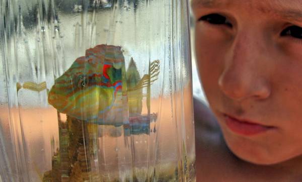 ��� �������