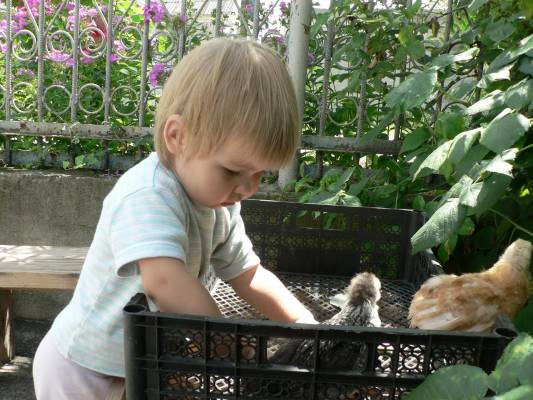 ���� � ���������