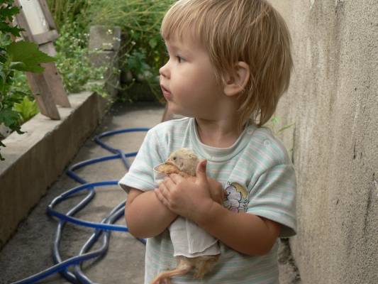 ���� � ���������